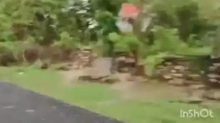 खमनोर: खमनोर क्षेत्र में भारी बारिश और हवा के कहर से सैमा रोड पर पेड़ गिरने से यातायात बाधित