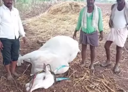 ಮಸ್ಕಿ: ಹರ್ವಾಪುರ ಗ್ರಾಮದ ಹತ್ತಿರ ಸಿಡಿಲು ಬಡಿದು ವ್ಯಕ್ತಿ ಸಾವು