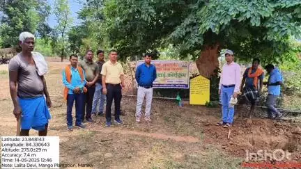 मनिका: मनिका के पोखरी में बिरसा हरित ग्राम योजना के तहत गढ़ा खुदाई कार्यक्रम का आयोजन