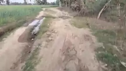 Tikamgarh jile ke palera block ke hanota panchyat ke tapariyan gaon me nahi hai sadak