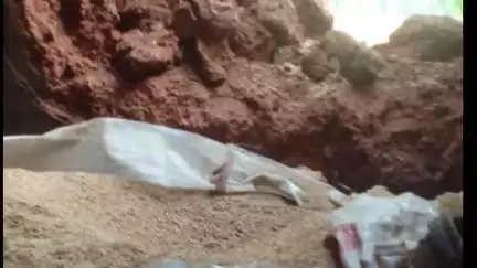 जलडेगा: जलडेगा पंचायत क्षेत्र में जंगली हाथियों का आतंक, कई घरों को किया ध्वस्त