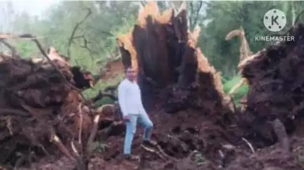 मुरहू: रूईटोला गांव में आंधी-बारिश से तबाही