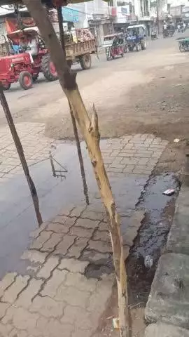 गुना के केंट कैंची बीड़ी कारखाने के सामने की गटर की सफाई बेबस्ता #स्वच्छ भारत स्वच्छ गुना #नगर पालिका गुना