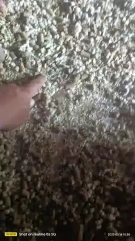 श्याम भोग खाल में से गिट्टी निकल रही है