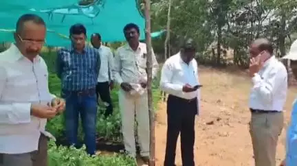తుంగతుర్తి: తుంగతుర్తిలో నర్సరీని సందర్శించిన డిఆర్డిఓ అప్పారావు
