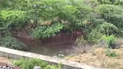 திருச்சுழி: மிதலைக்குளம்-புளியங்குளம் பகுதியில் கைவிடப்பட்ட ரயில்வே சுரங்கப்பாதை பணியை அமைச்சர் தங்கம் தென்னரசு ஆய்வு