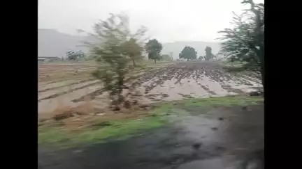 कळवण: साकोरे, गोबापूर परिसराला पावसाने झोडपले, कांदा पिकाचे नुकसान
