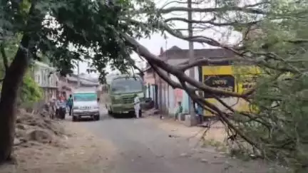 পুঞ্চা: পুঞ্চার সুঁড়িডি গ্রামে ঝড়ের তাণ্ডবে নিম গাছের ডাল ভেঙ্গে অবরুদ্ধ হয়ে যায় রাস্তা
