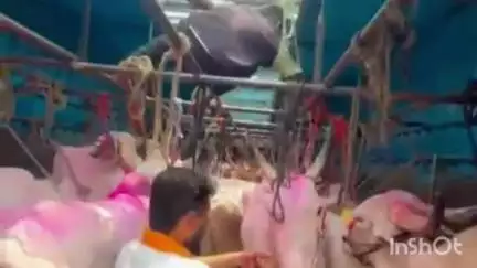 रेणापूर: हैद्राबादमार्गे केरळच्या स्लॉटर हाऊसकडे कंटेनर मधून कत्तलीसाठी नेत असलेले गोवंशची  तस्करी सेवादास नगर तांड्याजवळ पकडली