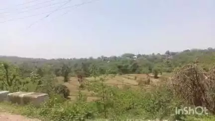 भोरंज: टौणीदेवी के कई गांवों में 16 और 17 तारीख को बिजली रहेगी बंद