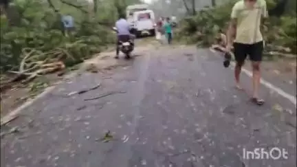 রানিবাঁধ: মাত্র ১৫ মিনিটের ঝড়ে আঁকখুটা মোড় থেকে রানিবাঁধ পর্যন্ত শতাধিক গাছ ভেঙে পড়ল রাস্তার ওপর