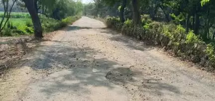 शिवाजी नगर: भिरहा से कोल्हटा तक 7.8 किलोमीटर सड़क निर्माण को मिली मंजूरी, विधायक ने दी जानकारी