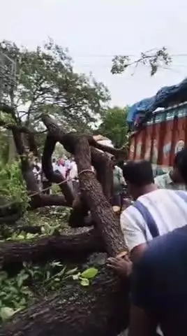 রানিনগর ১: নাজিরপুর বাজার সংলগ্ন এলাকায় কালবৈশাখীর তাণ্ডব রাস্তায় উপরে পড়লো গাছ বেশ কিছুক্ষনের জন্য বন্ধ যান চলাচল