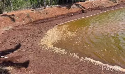 मालवण: आचरा पारवाडी कोळंबी प्रकल्पात विषप्रयोग :18 लाख किंमतीची कोळंबी झाली गतप्राण: आचरा पोलिसात गुन्हा दाखल