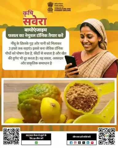 हर सुबह खेती की सही बात! 
जुड़े रहिए #KrishiSavera के साथ और शेयर करें अपनी टिप्स। 

#Agrigoi #Farmingtips