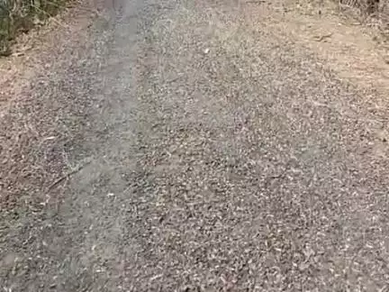 gram majhgawan ka ye video