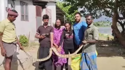 தோவாளை: தாளக்குடியில் வீட்டுக்குள் புகுந்த 12 அடி நீளம் மலைப்பாம்பை பொதுமக்கள் பிடித்து வனத்துறையிடம் ஒப்படைத்தனர்