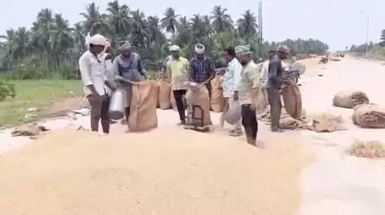 మామిడికుదురు మండలంలో మరో వెయ్యి టన్నులు ధాన్యం కొనుగోలు: మామిడికుదురులో ఏవో మృదుల
