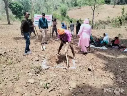 गारू: गारू प्रखंड में बिरसा हरित ग्राम योजना के तहत आम बागवानी का निरीक्षण किया गया