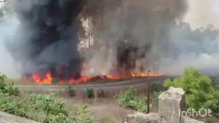 भवनाथपुर: भवनाथपुर सेल परिसर में लगी आग, सीआईएसएफ जवानों ने समय रहते काबू पाया
