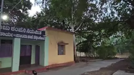 ಸಿರಗುಪ್ಪ: ತಾಲೂಕಿನಲ್ಲಿ ಮೇ 17ರಂದು ವಿದ್ಯುತ್ ಗ್ರಾಹಕರ ಕುಂದು ಕೊರತೆ ಹಾಗೂ ಜಾಗೃತಿ ಸಭೆ