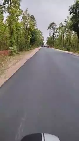 सकलपुर जंगल में खतरनाक हादसा ,