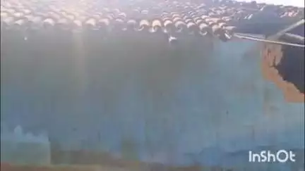 मनोहरपुर: बांधटोली और कोलभोंगा में हाथियों ने 5 घरों को किया ध्वस्त