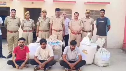 खाजूवाला: खाजूवाला पुलिस ने 2 अलग-अलग कार्रवाई कर 90 किलो डोडा पोस्त किया बरामद, 3 आरोपी गिरफ्तार
