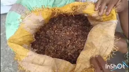 ସୋରଡା: ଗଞ୍ଜାମ ଜିଲ୍ଲାର ସୋରଡ଼ା ଥାନା ଅନ୍ତର୍ଗତ ଗୌଡଗୋଠ ଗ୍ରାମ ର ଶିଶିର କାନ୍ତ ସୁବୁଦ୍ଧି ଙ୍କ ଘରେ  ଅବକାରୀ ବିଭାଗ ପକ୍ଷରୁ ଚଢାଉ।