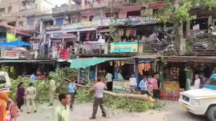 कर्णप्रयाग: तेज हवाओं के चलते कर्णप्रयाग मुख्य बाजार में पीपल के पेड़ का एक बड़ा हिस्सा टूटकर गिरा, बड़ा हादसा होने से टला