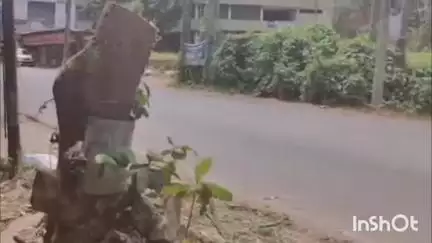 വടകര: നാദാപുരത്ത് പൊതുസ്ഥലത്തെ മരം മുറിച്ചുകടത്തി, അന്വേഷണം തുടങ്ങിയതായി പോലീസ്