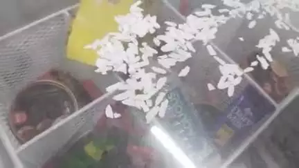कुदरा के स्मार्ट मॉल में पैक खाने पीने की  पदार्थ में मिला कीटाणु पूर्व प्रखंड प्रमुख ने  की शिकायत