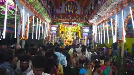 அம்பாசமுத்திரம்: தெற்கு பாப்பான்குளம் சுடலைமாடசாமி கோவில் கொடை விழா 1100 அசைவ படையல் 50 கிடா வெட்டி சிறப்பு வழிபாடு