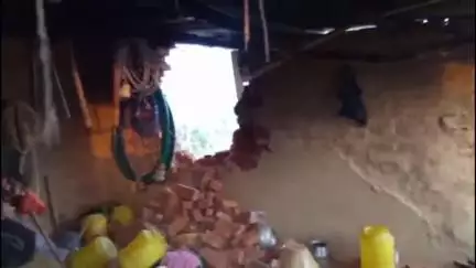 सरिया: सरिया कोवडिया में हाथियों के झुंड ने उत्पात मचाया