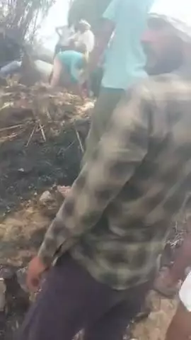 सिहोनिया: गांव रुअरिया में लगी आग