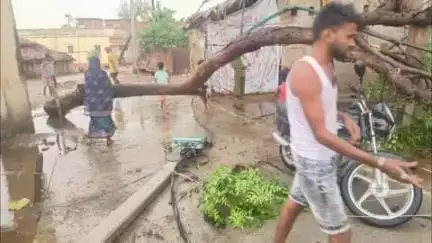 बाराचट्टी: बाराचट्टी में अचानक आंधी पानी से बिजली गुल, बाराडीह सड़क मिनी तालाब में तब्दील, लोगों को हुई परेशानी