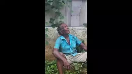 തൊടുപുഴ: തൊടുപുഴ കോലാനിയിൽ തേങ്ങയിടാൻ കയറിയ വൃദ്ധൻ തെങ്ങിൽ കുടുങ്ങി