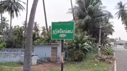 சேந்தமங்கலம்: நடுக்கோம்பையில் சூறாவளி காற்றினால் 10000 பாக்கு மரக்கன்றுகள் சாய்ந்து சேதமடைந்தன