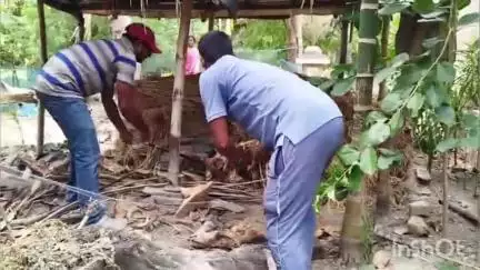 সন্দেশখালি ১: কালীনগর এলাকায় বনদপ্তরের তৎপরতায় উদ্ধার হলো বিষধর গোখরো সাপ