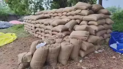 செய்யூர்: சுற்று பகுதிகளில் திடீரென பெய்த மழையின் காரணமாக நெல் கொள்முதல் மையங்களில் 
அரசு கொள்முதல் செய்யப்பட்ட 
நெல் மூட்டைகள் நணிந்து சேதம்