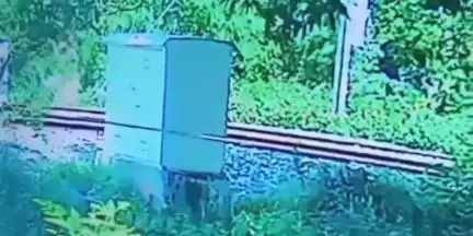 കരുനാഗപ്പള്ളി: മാളിയേക്കൽ മേൽപ്പാലത്തിന് സമീപം ട്രെയിൻ തട്ടി മരിച്ചയാളെ തിരിച്ചറിഞ്ഞു