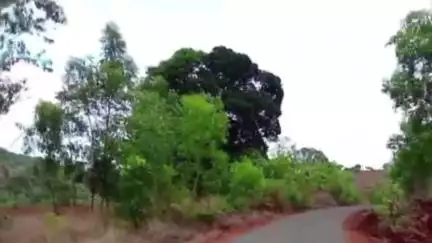 शाहूवाडी: भोसलेवाडी ते जाधववाडी रस्त्याचे काम निकृष्ट ठेकेदार व अधिकाऱ्यांवर कारवाई करावी ग्रामस्थांची मागणी