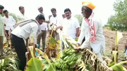 ಆಳಂದ: ಮಾಡಿಯಾಳ ಗ್ರಾಮದಲ್ಲಿ ಗಾಳಿ ಮಳೆಗೆ ಲಕ್ಷಾಂತರ ರೂ. ಮೌಲ್ಯದ ಬಾಳೆ ಬೆಳೆ ಹಾನಿ, ಸ್ಥಳಕ್ಕೆ ಕೆಎಂಎಫ್ ಅಧ್ಯಕ್ಷ ಆರ್‌.ಕೆ.ಪಾಟೀಲ್ ಭೇಟಿ