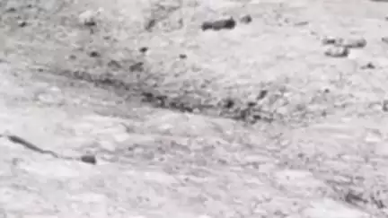 मोरंग: किन्नौर के आसरंग की पहाड़ी से नालों में गिरे ग्लेशियर, ग्रामीणों से गलेशियर पॉइंट्स की ओर न करने की अपील- जिप्र