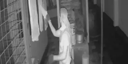 കുന്നത്തൂർ: മുതുപിലാക്കാട് ക്ഷേത്രത്തിന് സമീപം വീട്ടിൽ നിന്ന് മൂന്നര പവൻ സ്വർണവും പണവും കവർന്നു, ഏഴോളം വീടുകളിൽ മോഷണശ്രമവും