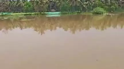 பேரணாம்பட்டு: பேர்ணாம்பட்டு கொத்தப்பள்ளி கிராமத்தில் மீன் பண்ணையில் இருந்த 15 ஆயிரம் மீன்கள் வெள்ளப்பெருக்கு ஏற்பட்டு அடித்துச் செல்லப்பட்டதால் விவசாயி வேதனை
