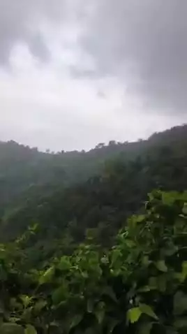 செங்கோட்டை: மேற்குத் தொடர்ச்சி மலைப் பகுதிகளில் பெய்த மழையால் மக்கள் மகிழ்ச்சி
