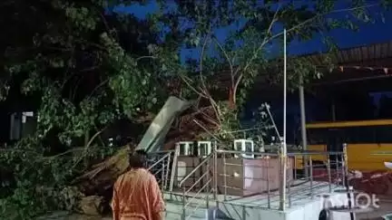 मनोहरपुर: आंधी-पानी से संत नरसिंह आश्रम में विशाल पीपल का पेड़ गिरा, कोई हताहत नहीं