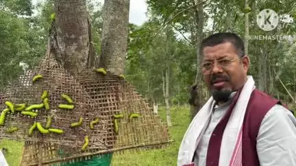 শদিয়া: শদিয়াৰ চাদিলী গাঁৱত মুগা আৰু ছিল্ক প্ৰকল্পৰ উদ্যোগৰ প্ৰকল্পস্থান পৰিদৰ্শন সমষ্টিৰ বিধায়ক বলীন চেতিয়াৰ