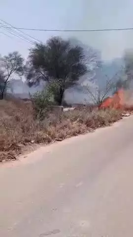 श्रीकरणपुर की धान मंडी में लगी आग, सूचना मिलने पर मौके पर पहुंची फायर ब्रिगेड टीम